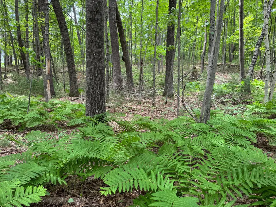 TBD Garden Dr, Siren, WI 54872 - #3