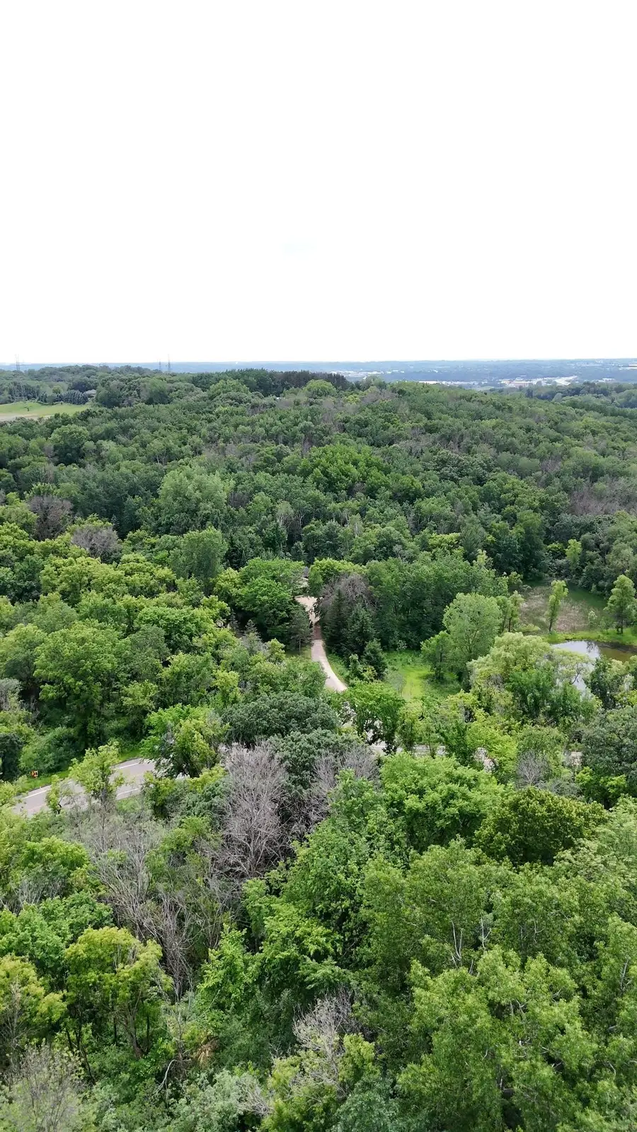 2685 Carver Avenue E, Maplewood, MN 55119 - #2
