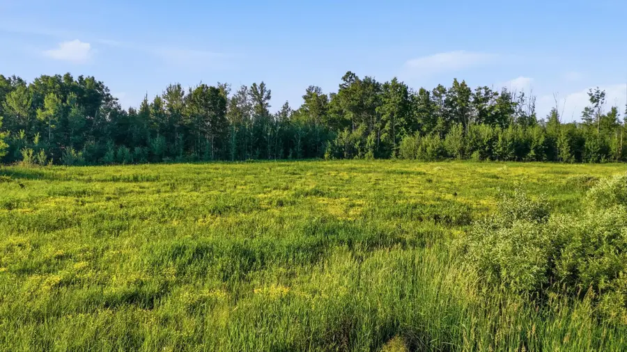 TBD Florence Dr, Moose Lake, MN 55767 - #2