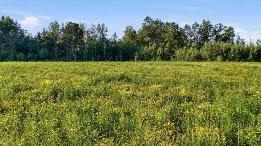 TBD Florence Dr, Moose Lake, MN 55767 - #3