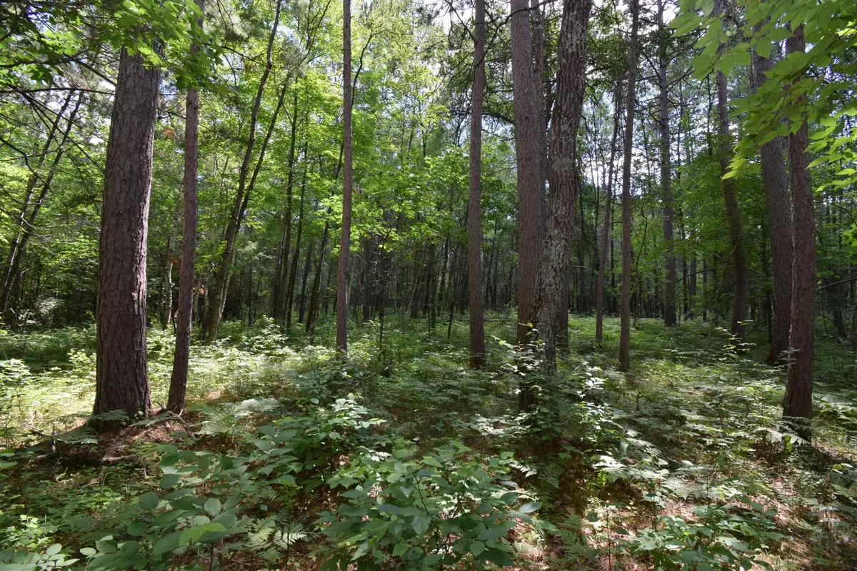 Lot 2 Saylors Lane, Siren, WI 54872 - #1