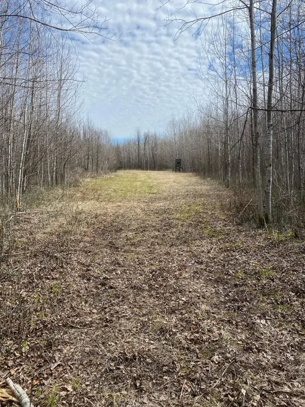 TBD County Road 79, Littlefork, MN 56649