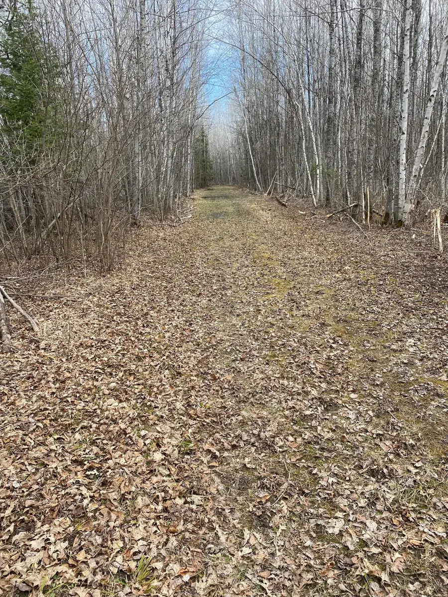 TBD County Road 79, Rainy Lake, MN 56649 - #3