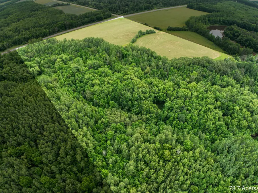 TBD County Rd 79, Littlefork, MN 56653 - #2