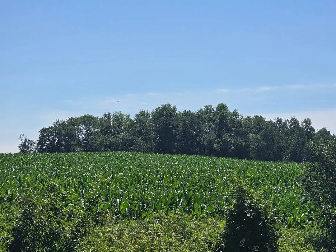 00 110 Street, Frederic, WI 54837 - #1