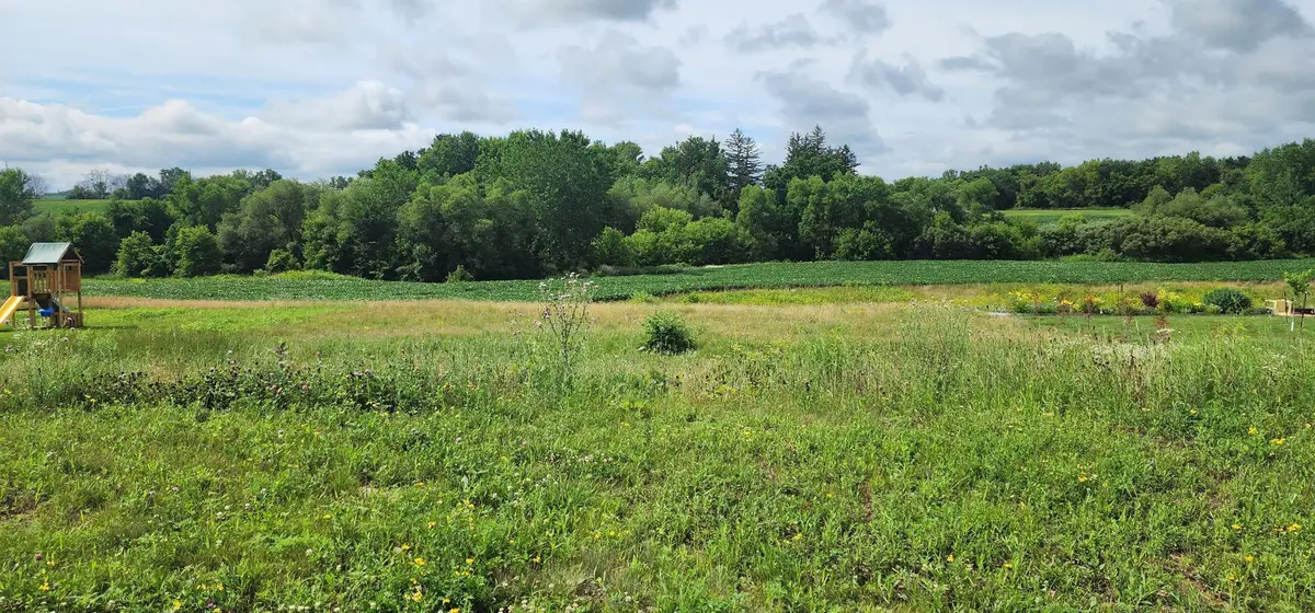1042 3rd Street, Wanamingo, MN 55983 - #1