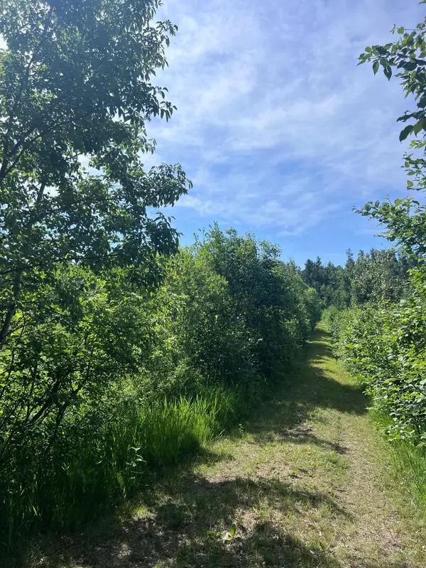 TBD Main Street E, Menahga, MN 56464