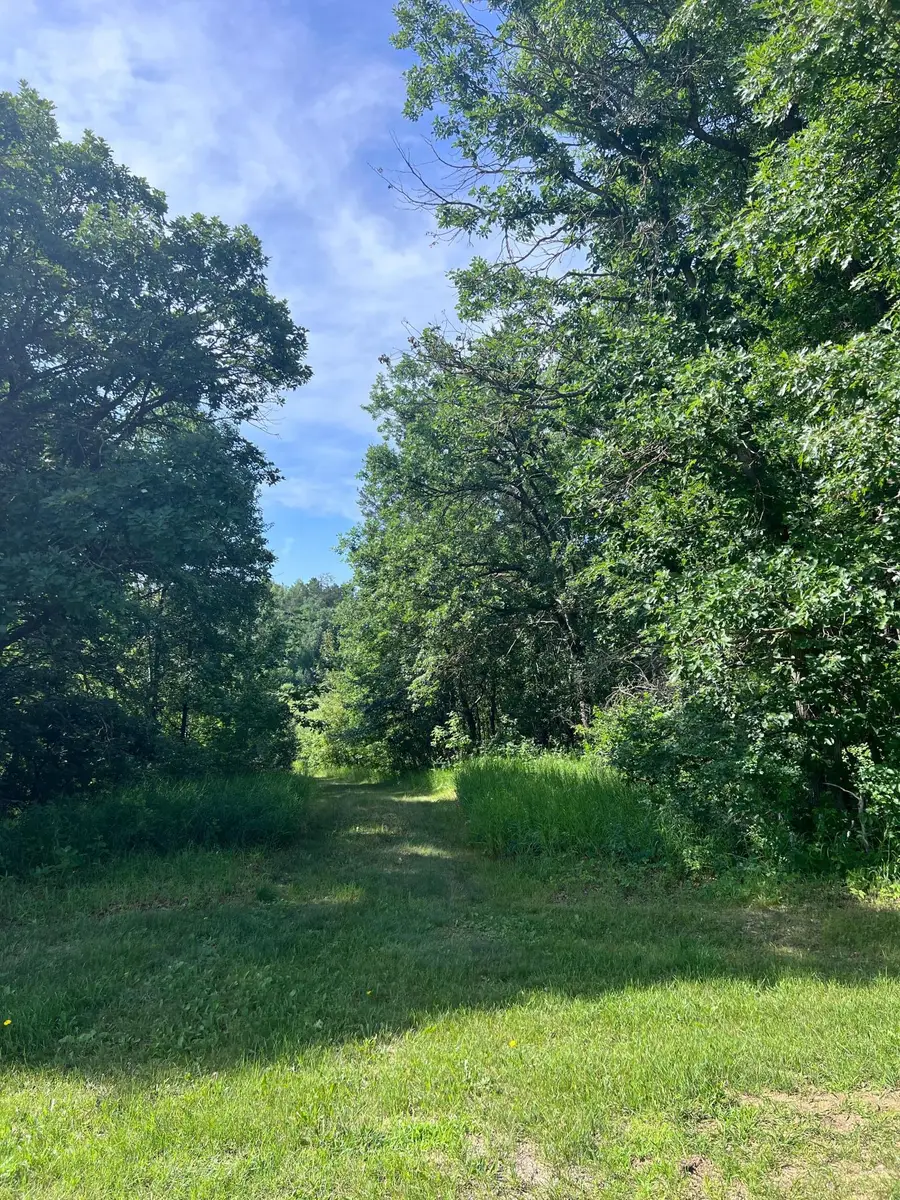 TBD Main Street E, Menahga, MN 56464 - #2