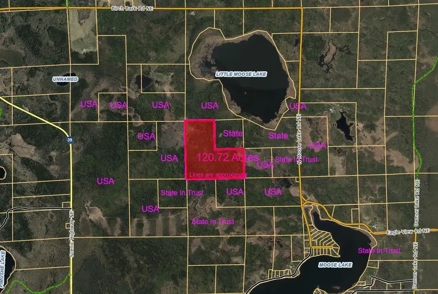 TBD N Moose Lake Road, Pennington, MN 56663 - #2
