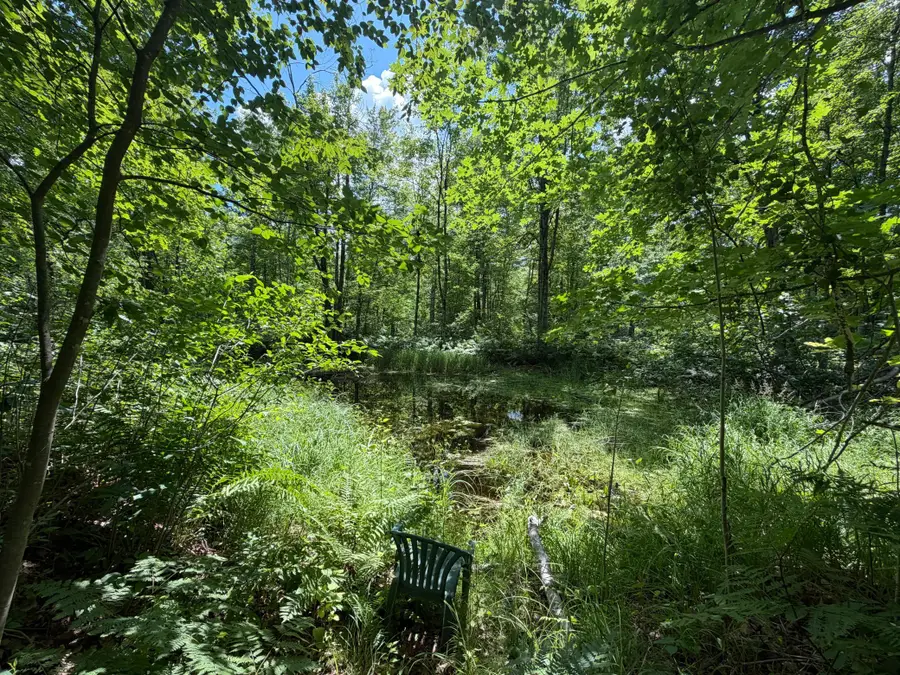 42680 Leigh Drive, Bruno, MN 55712 - #3
