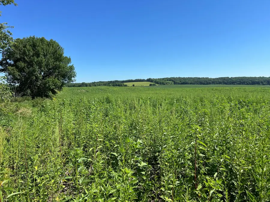 000 330th, Ashby, MN 56309 - #3