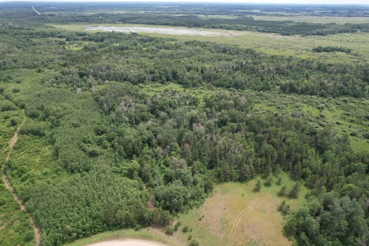 TBDx 350th Street, Menahga, MN 56464 - #1