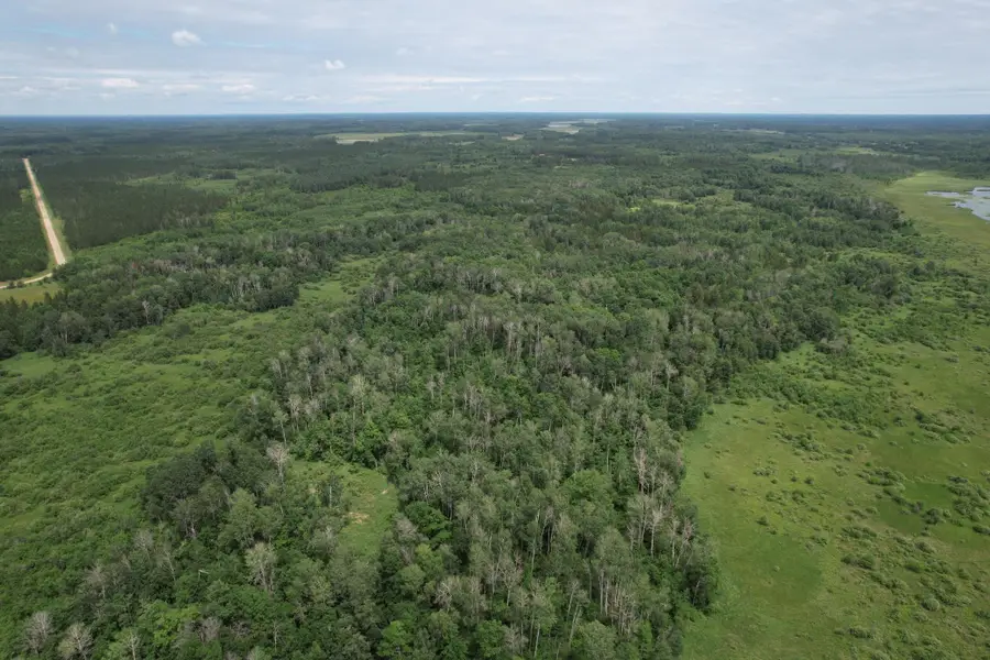 TBDx 350th Street, Menahga, MN 56464 - #2