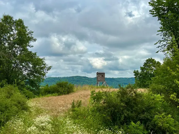 TBD89 County 13, Houston, MN 55943