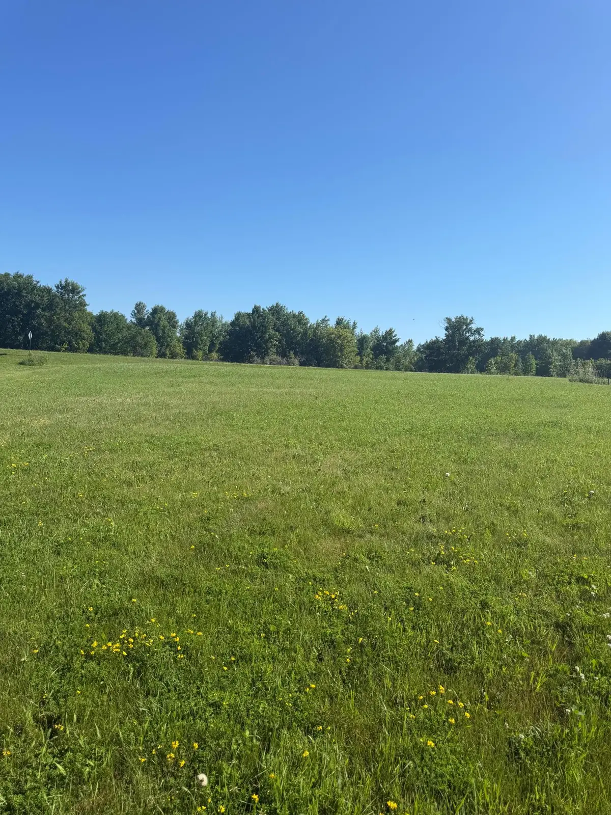 TBD Hummingbird Lane Sw, Alexandria, MN 56308 - #1