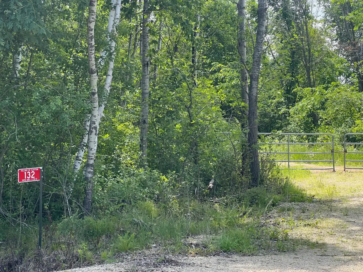 132 90th Avenue, Clayton, WI 54004 - #1