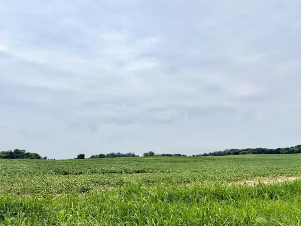 TBD (L3B2) Flamingo Street Nw, Isanti, MN 55040