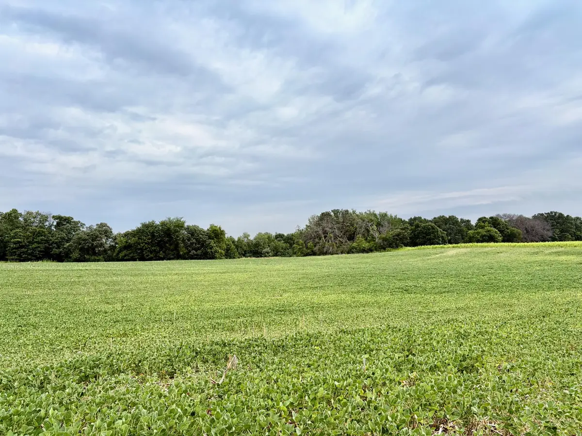 TBD (L12B2) County Road 5 Nw, Isanti, MN 55040 - #1