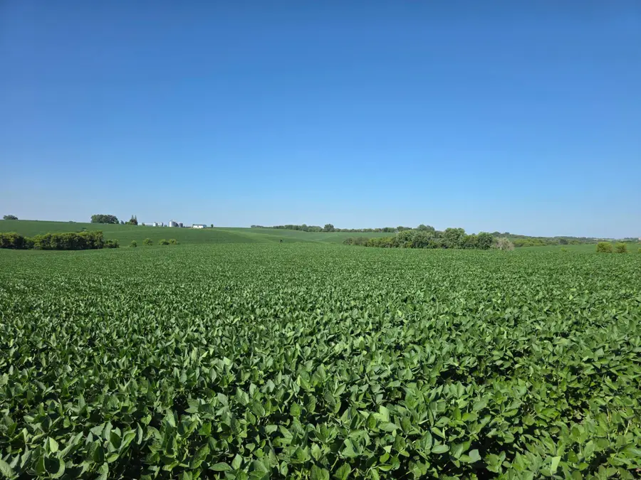TBD 310th Avenue, Elgin, MN 55932 - #2