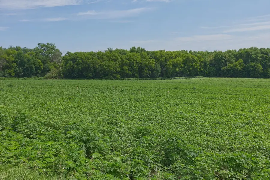 TBD2 Ingram Avenue Sw, Howard Lake, MN 55349 - #3