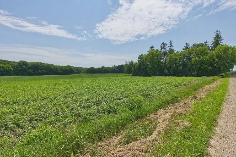 TBD3 Ingram Avenue Sw, Howard Lake, MN 55349 - #3