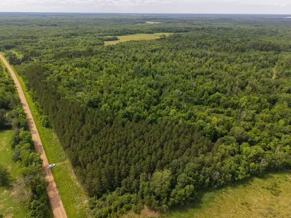 80 Acres Pike Bay Loop Road Nw, Cass Lake, MN 56633