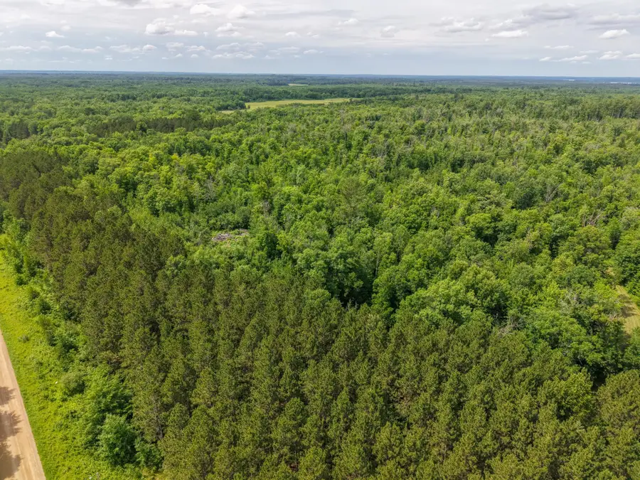 80 Acres Pike Bay Loop Road Nw, Cass Lake, MN 56633 - #3