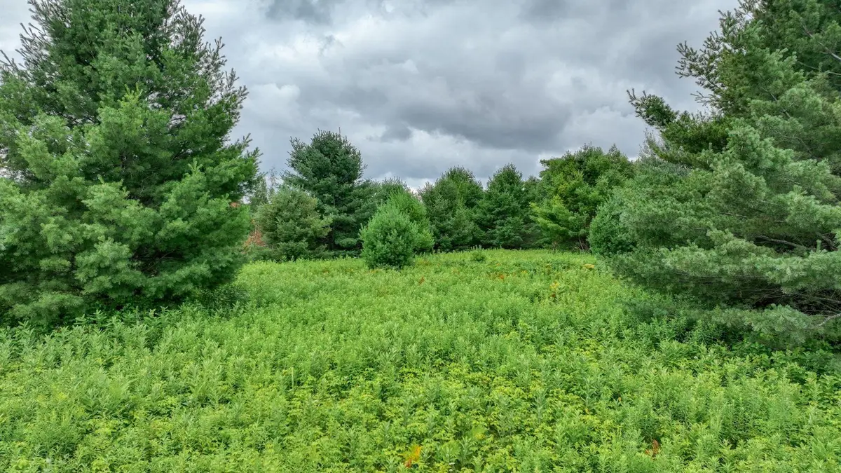 4E Twin Lake Road, Hayward, WI 54843 - #1