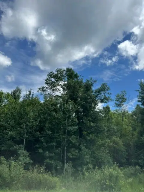 36502 County Road 129, Deer River, MN 56636 - #3