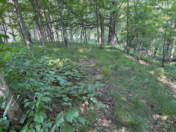320th 320th Street, Browerville, MN 56438
