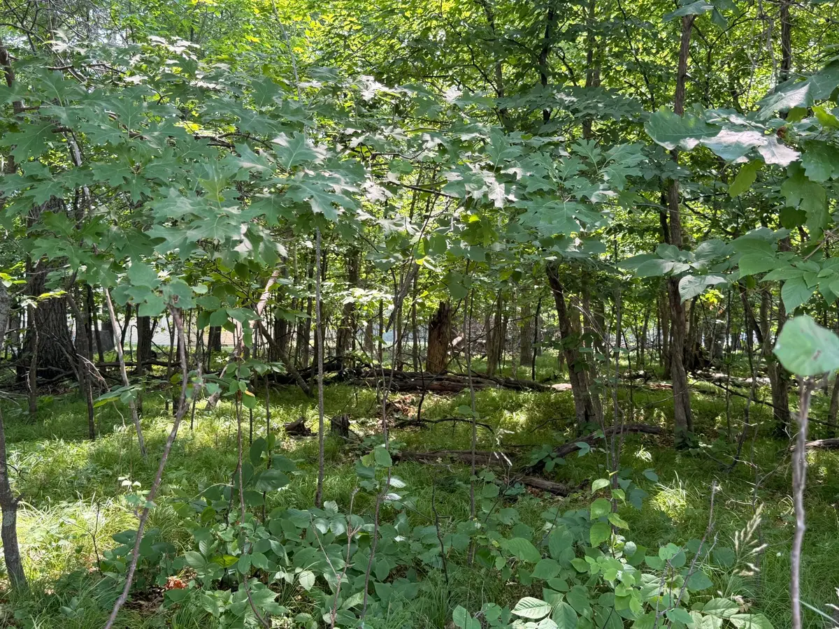 TBD Breezy Point Boulevard, Breezy Point, MN 56472 - #1