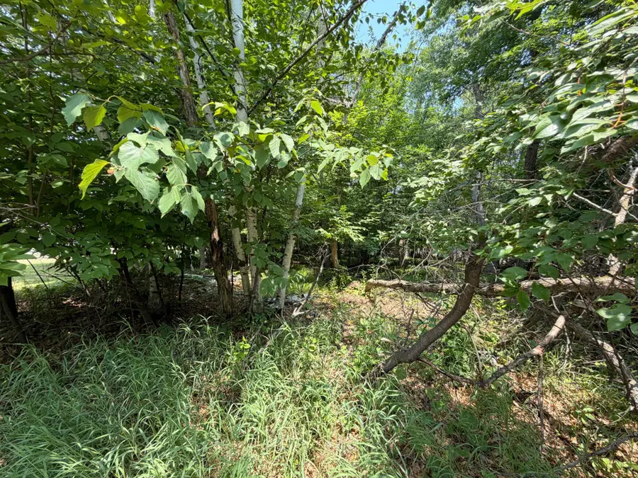 TBD Breezy Point Boulevard, Breezy Point, MN 56472 - #3