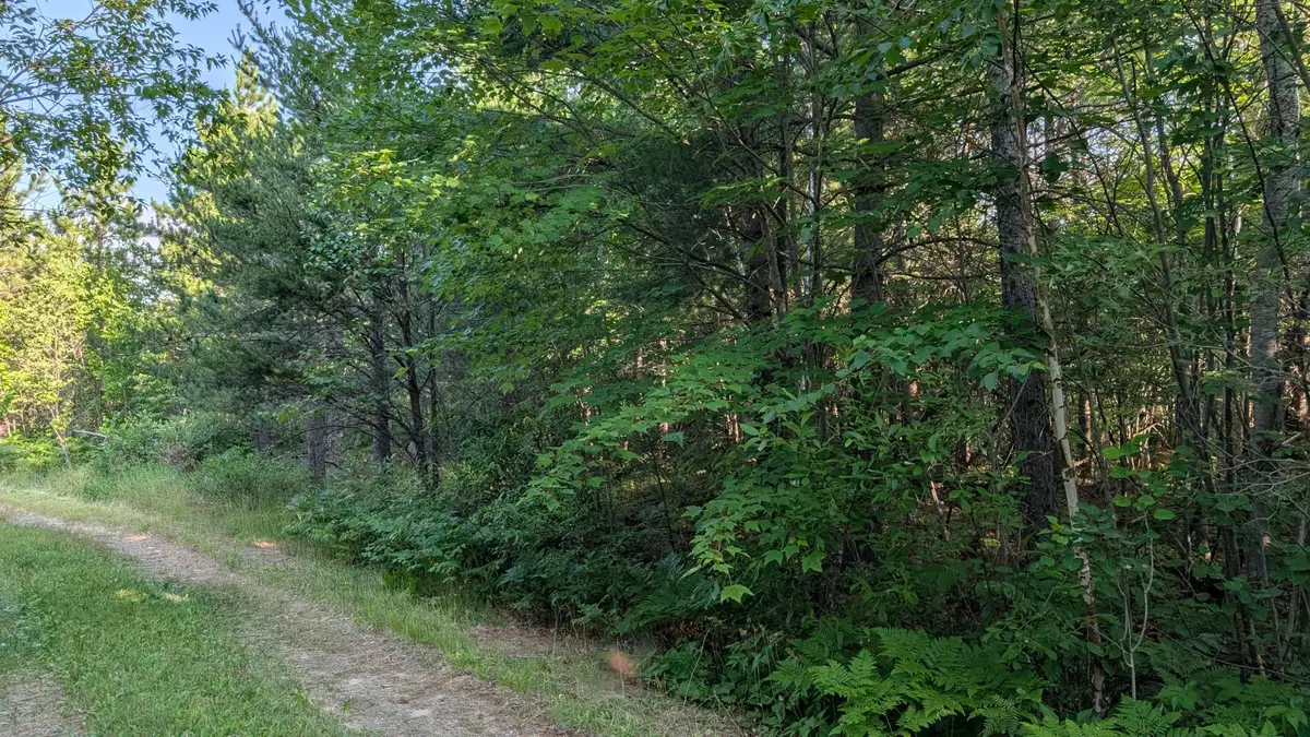 Lot B Hwy. 24, Orr, MN 55771 - #1