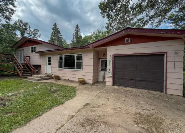 42869 County 2, Leonard, MN 56652
