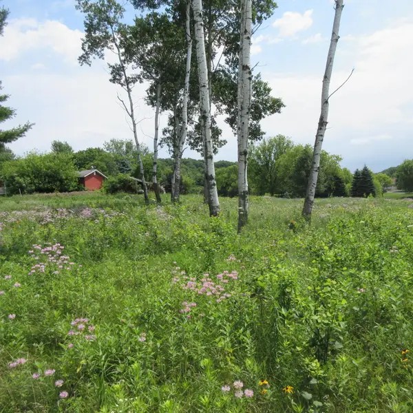 Lot 12 516th Street, Menomonie, WI 54751