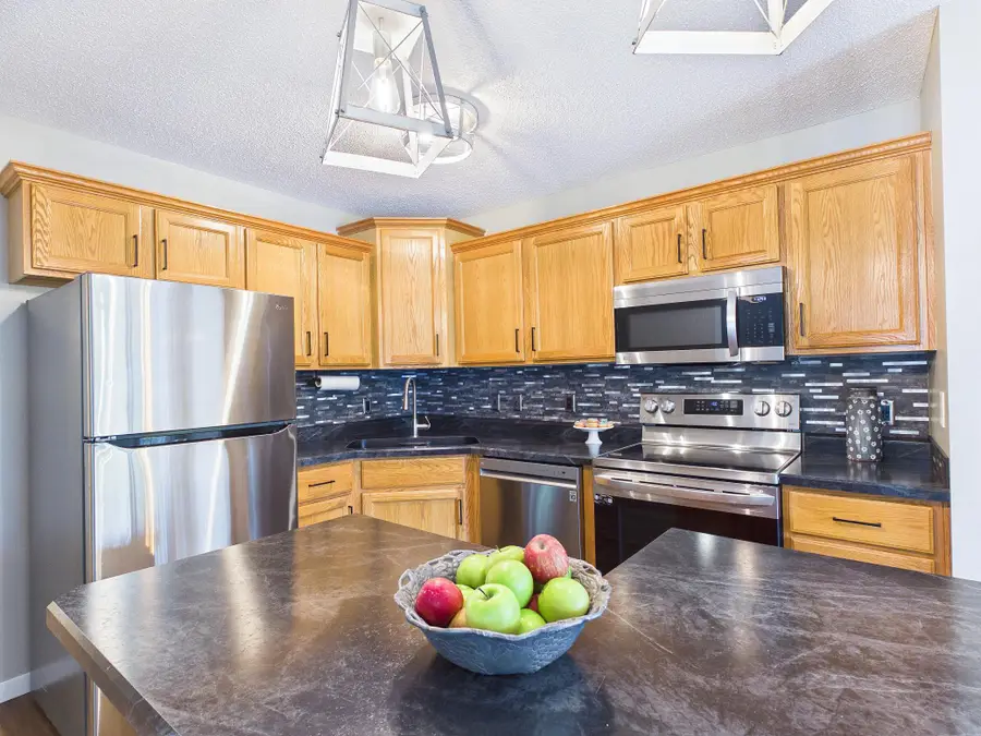 2048 Willow Circle, Hugo, MN 55038 - #2