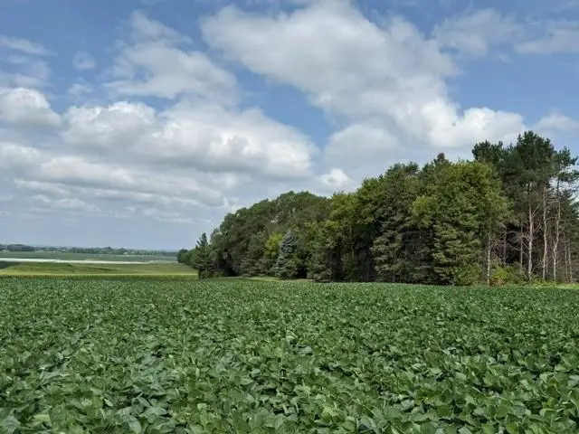 Lot B Lehigh Road, Cottage Grove, MN 55016 - #1