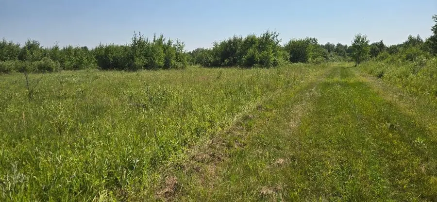 TBD County Road 7, Verndale, MN 56481 - #3