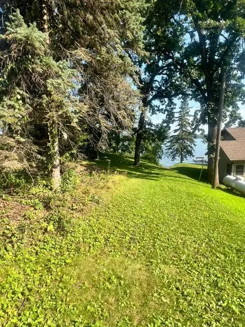 65560 210th Street, Litchfield, MN 55355 - #2