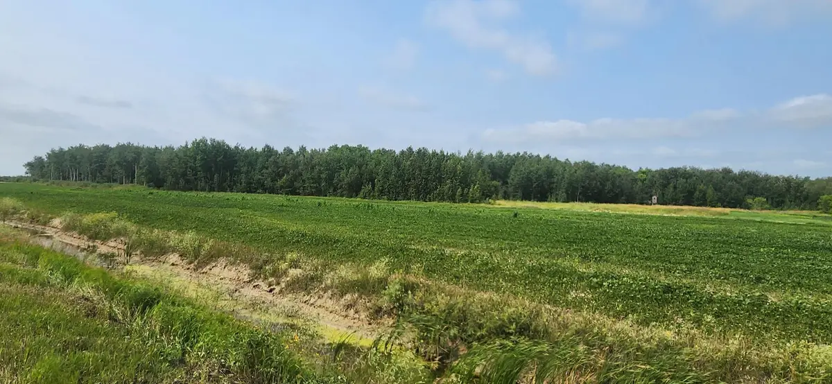 TBD 340th Avenue Ne, Goodridge, MN 56725 - #1