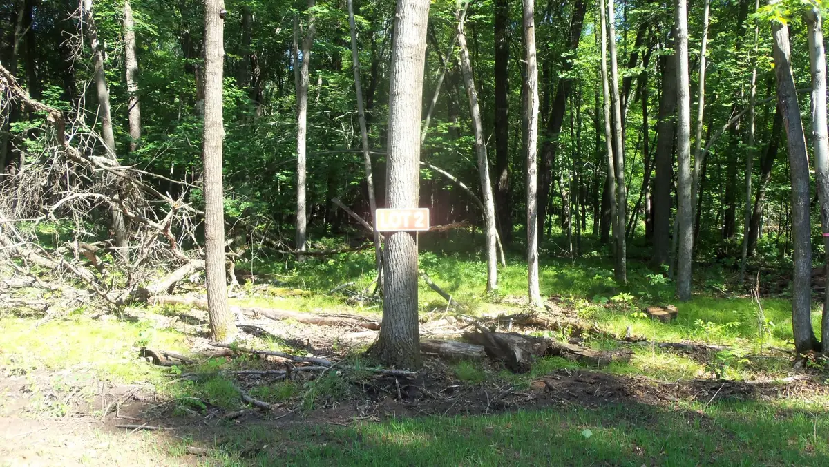 Lot 2 Howard Johnson Trl, Siren, WI 54872 - #1