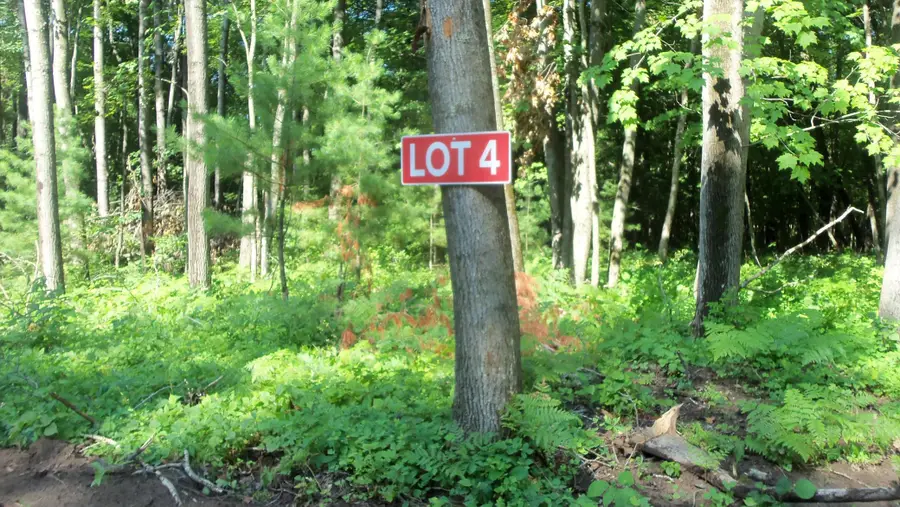 Lot 4 Howard Johnson Trl, Siren, WI 54872 - #2