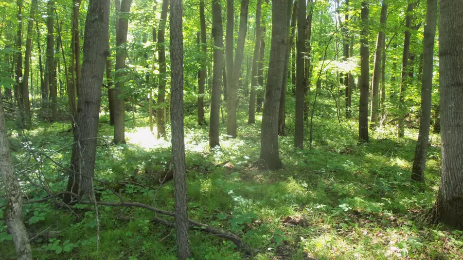 Lot 5 Howard Johnson Rd, Siren, WI 54872 - #3