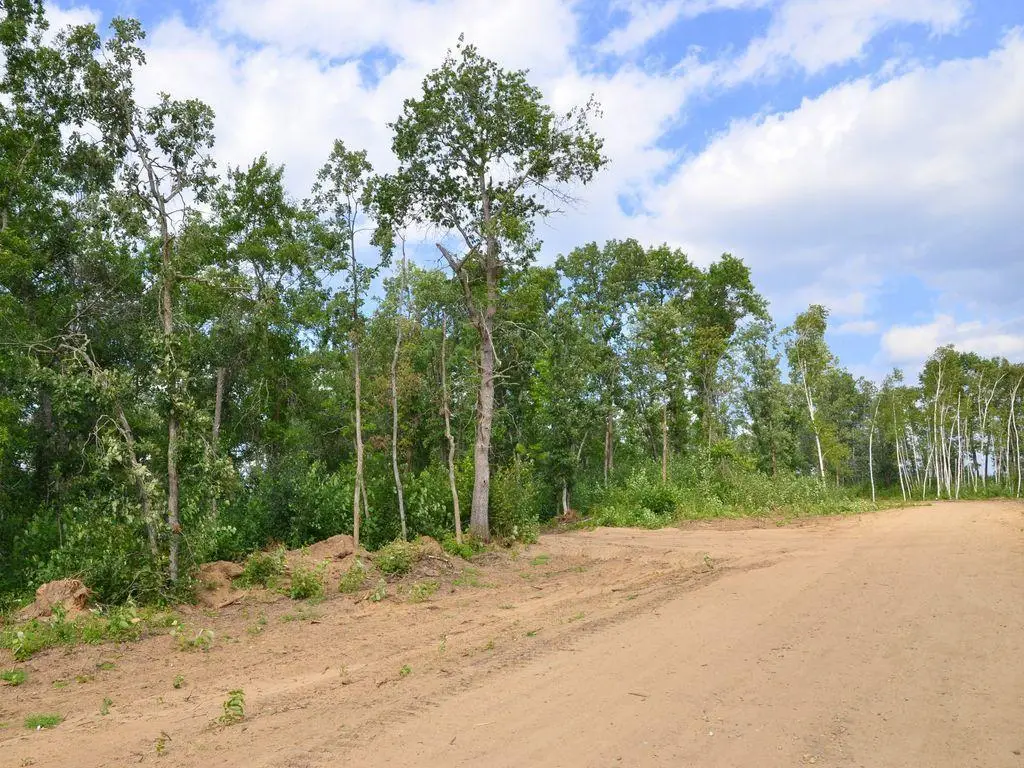 XXX Firewood Trail, Park Rapids, MN 56470 - #1