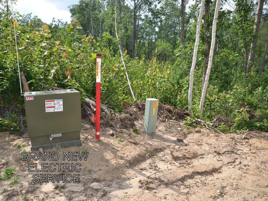 XXX Firewood Trail, Park Rapids, MN 56470 - #2