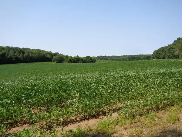 XXX 250th Street, Saint Croix Falls, WI 54024