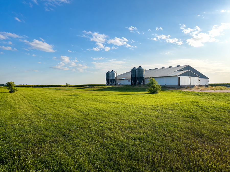 31546 615th Ave, Wadena, MN 56482 - #2