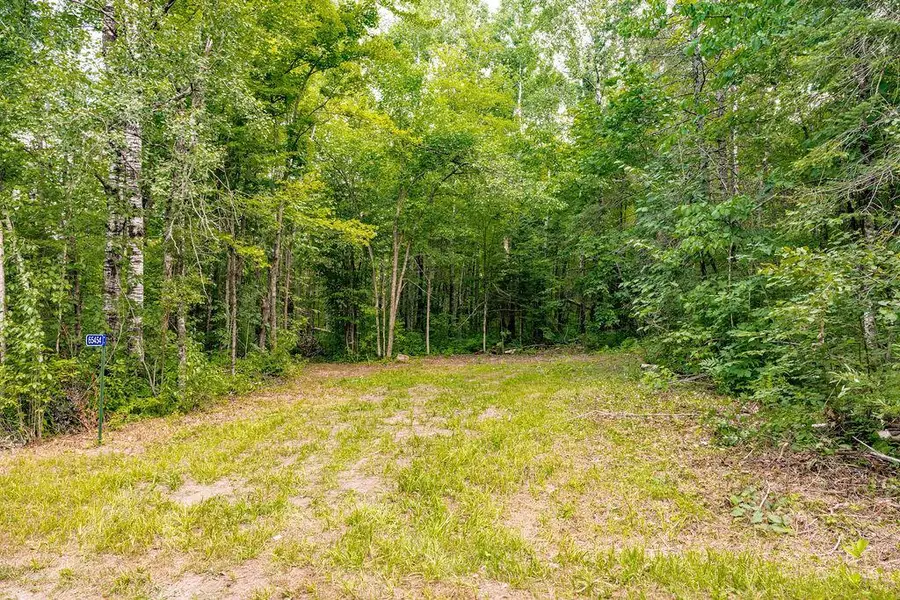 65454 Kingsdale Road, Sandstone, MN 55072 - #3