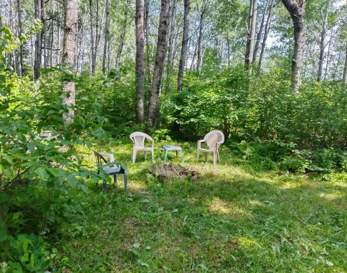 TBD1.2 Orr Buyck Road Road, Buyck, MN 55771 - #1
