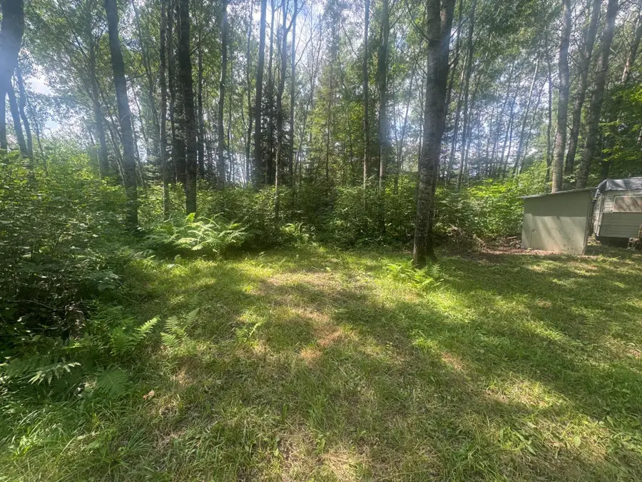 TBD1.2 Orr Buyck Road Road, Buyck, MN 55771 - #2